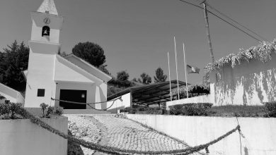 cabecas IMG 20240725 151733 Copia