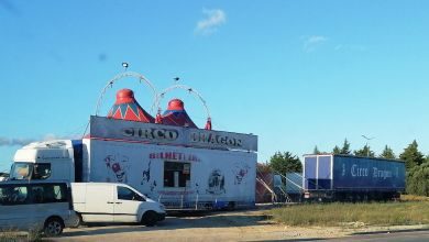 circo IMG 20240711 200321