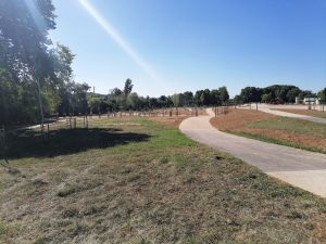 flecheiro IMG 20240714 094649