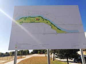 flecheiro IMG 20240714 094708