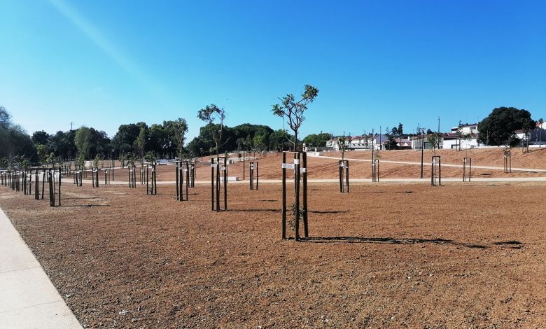 Parque do Flecheiro abriu ao público ainda por acabar (c/ fotos) flecheiro IMG 20240714 094748