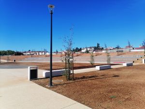 flecheiro IMG 20240714 094906
