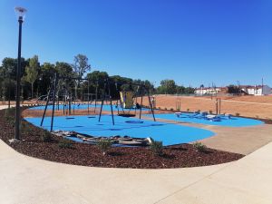 flecheiro IMG 20240714 094947