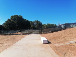 flecheiro IMG 20240714 095128