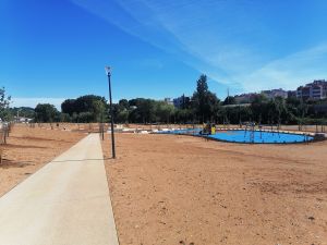 flecheiro IMG 20240714 095216