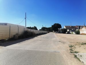 flecheiro IMG 20240714 095613