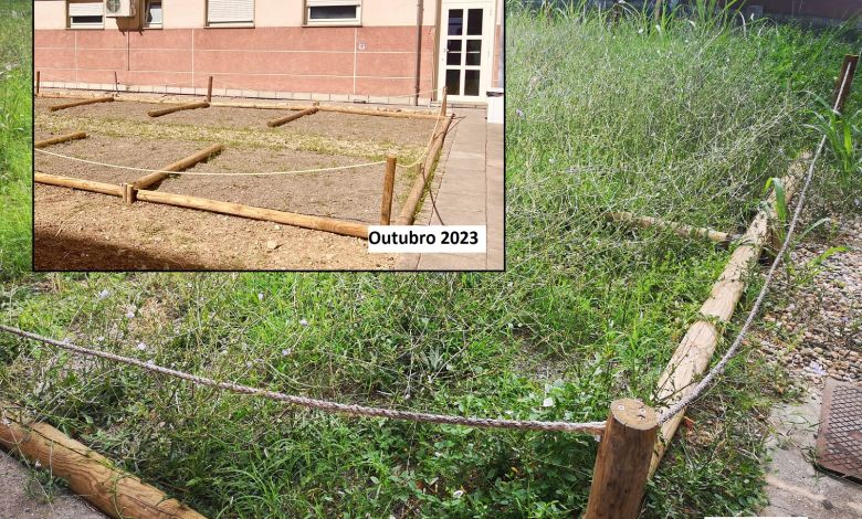 Horta e jardim para doentes psiquiátricos do hospital transformado em matagal hospital 7890