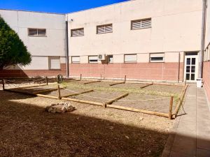 hospital 7970201 5327803326469902467 n