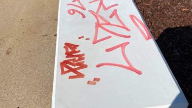vandalismo 894870614 2798384324036155446 n