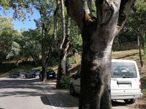 IMG 20240806 172437