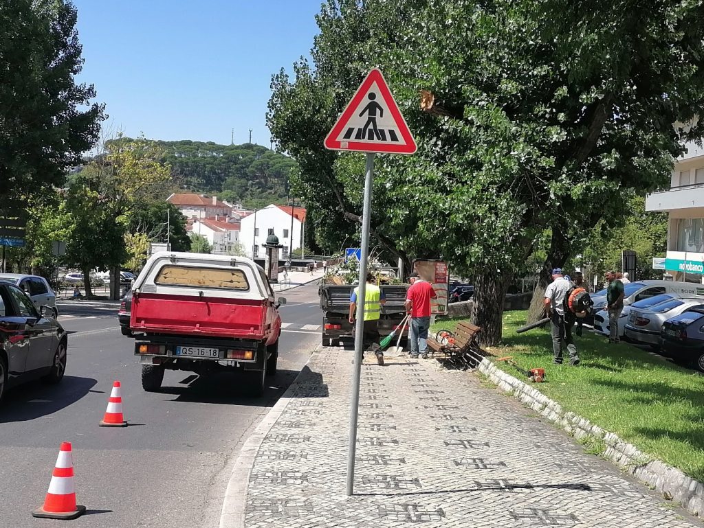 IMG 20240808 120006