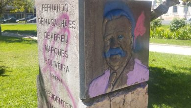 fernando oliveira vandal 02447 6151577757680202712 n