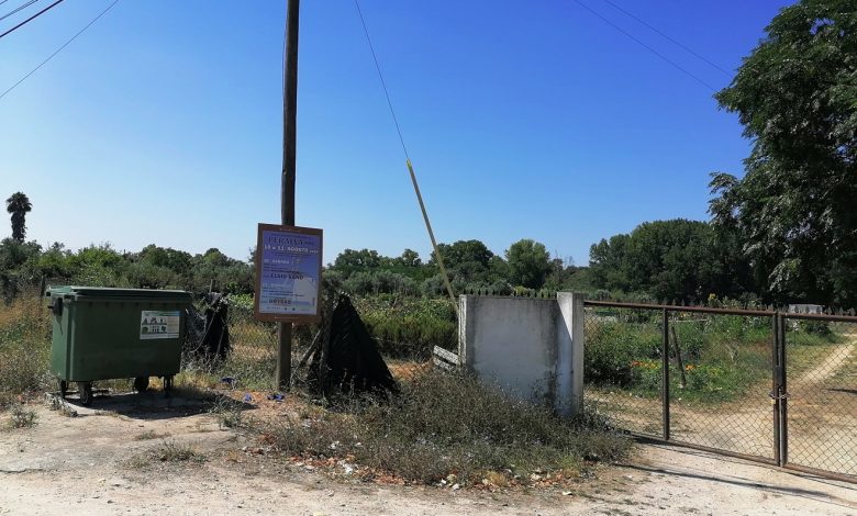 Ter uma horta municipal custa 50 euros por ano hortas IMG 20240808 113323