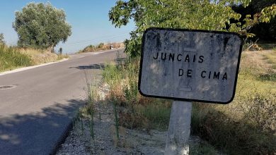 juncais IMG 20240822 175616