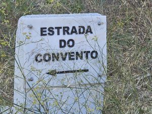 lixo 52501508 4119274071290754546 n