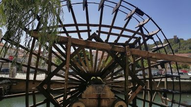 roda mouchao IMG 20240825 134809