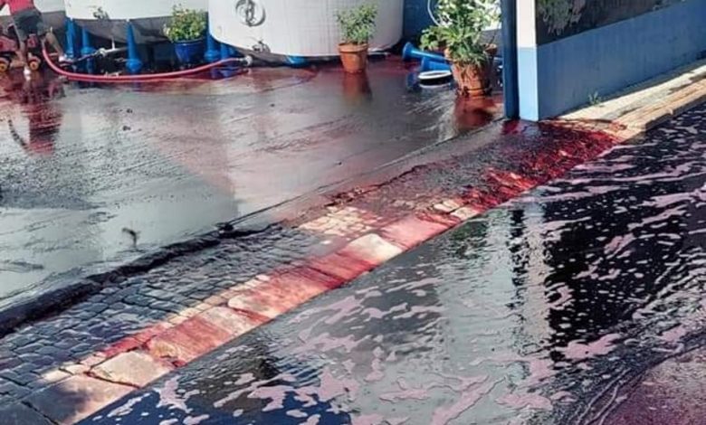 Depósito rompe e espalha 30 mil litros de vinho pelas ruas de Alpiarça vinh 05337304658 3021633404124258058 n