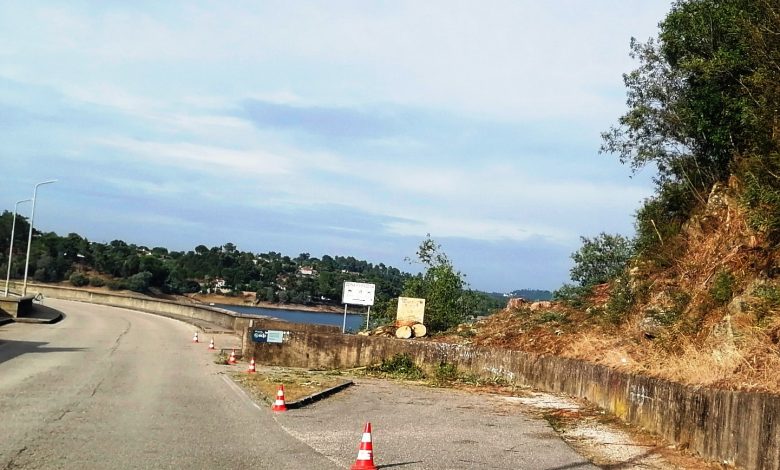EDP manda cortar árvores na barragem de Castelo do Bode IMG 20240831 180038