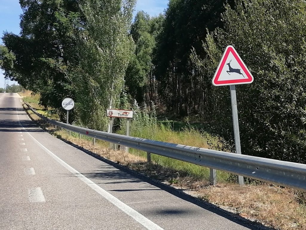 IMG 20240914 120222