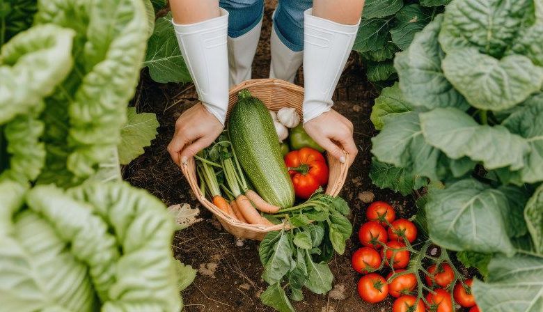 Iniciativas de Agricultura Biológica em Tomar: Como Começar um Projeto Sustentável agr f67aeXj41n0hXfa