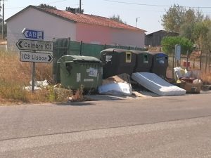 lixo IMG 20240910 112945