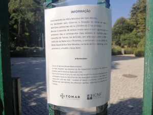 mata IMG 20240917 113300