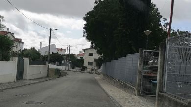 IMG 20241007 114957
