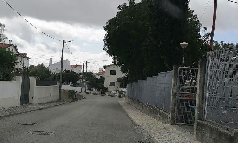 Não há passadeiras no acesso à escola Gualdim Pais IMG 20241007 114957