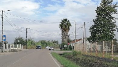 IMG 20241015 112553