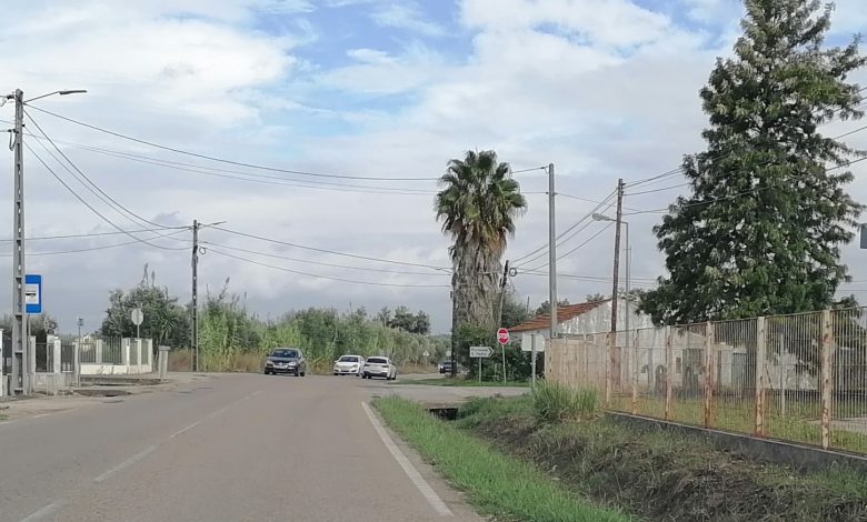 IMG 20241015 112553