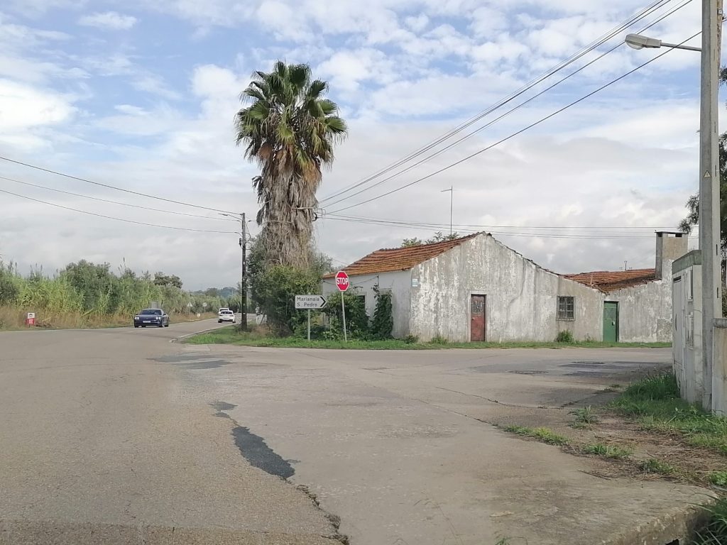 IMG 20241015 112556