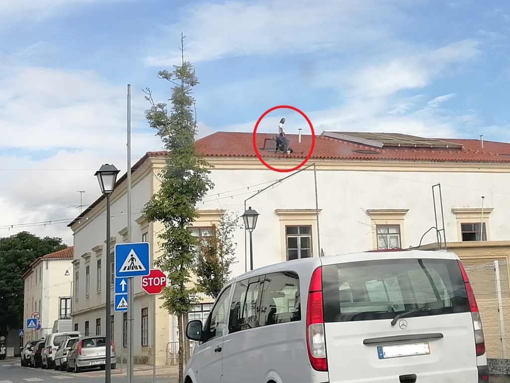 IMG 20241015 113511