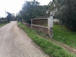 IMG 20241016 122131