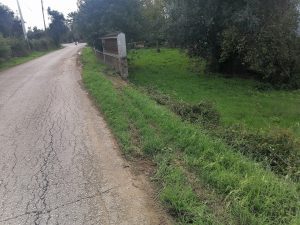 IMG 20241016 122156
