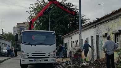 bairro ze carlos sousa IMG 20241008 094348