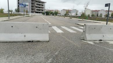 entronc IMG 20241018 121408