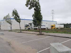 entronc IMG 20241018 122349