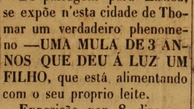 fenomeno 2