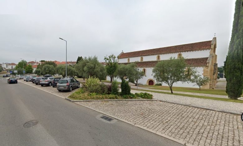 Entroncamento abre inscrições para apanha da azeitona municipal. E Tomar? olival oliveiras