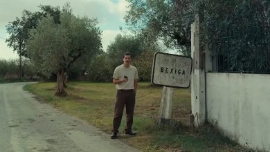 bexiga