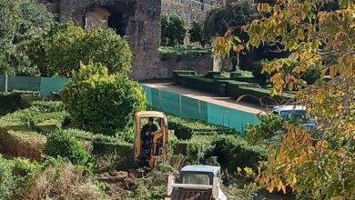 jardim convento 639751855088 2675374512209443919 n