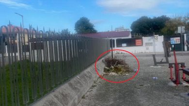 lixo unnamed