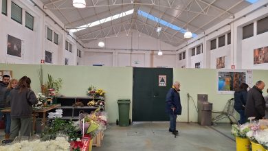mercado 20241224 094744