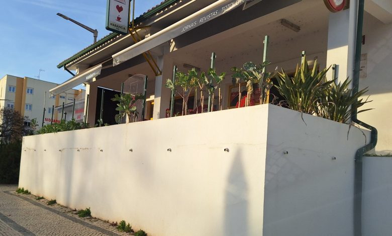 Um café com favas e couves nabancia 20241216 161100