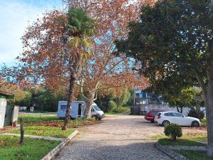 parque caravanismo 20241212 104749