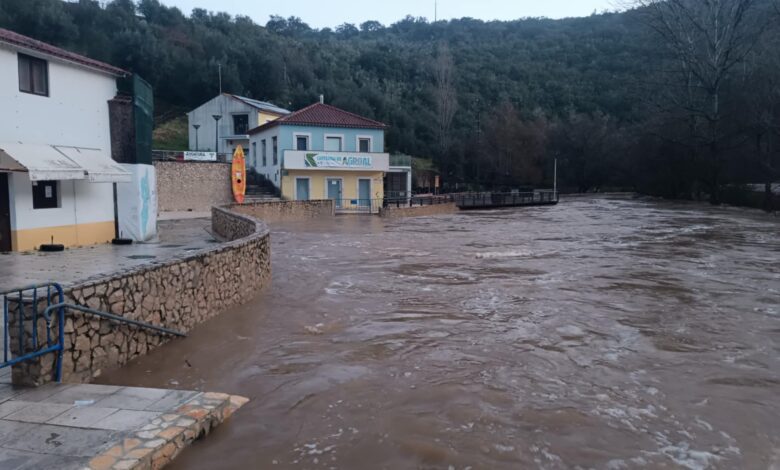 As cheias do rio Nabão em imagens (c/ fotos e vídeos) agroal 77078493 1326372858308954791 n