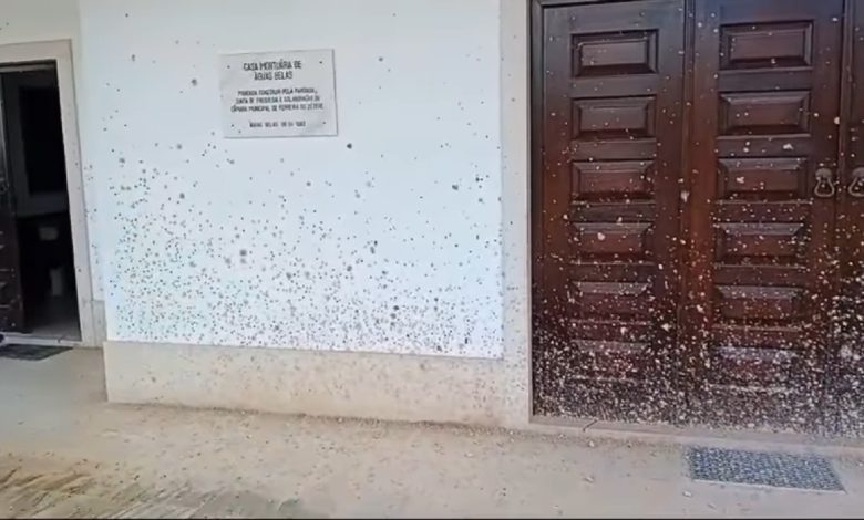 Andaram a fazer piões em frente à casa mortuária de Águas Belas agus belas