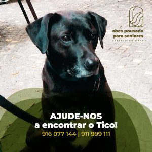 apelo 7756847866797 4491150835544204271 n
