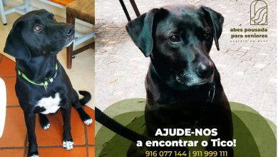 apelo 7893