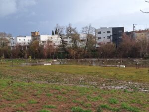 flecheiro 20250122 101030